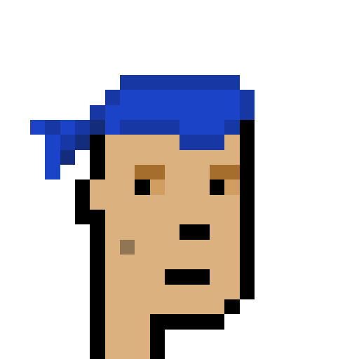 Punk 6878